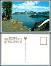 Oregon Postcard - A Deer At Crater Lake O12 - £2.32 GBP