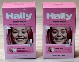 Hally Color Cloud Rose Gold Hair Dye Kit Lot Of 2 Demi Permanent Foaming NEW - £10.05 GBP