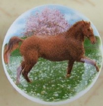 Cabinet Knobs Knob Chestnut horse in field @Pretty@ HORSE - $5.44