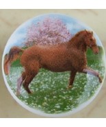 Cabinet Knobs Knob Chestnut horse in field @Pretty@ HORSE - €4,69 EUR
