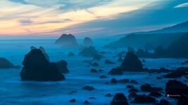 Tiggy~ 2021 Ty Beanie Boo ~ 6" Tiger ~ MWMT ~  - $5.89