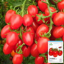 Jam Selection: 5 Bags (200 Seeds / Bag) of Top-Performing Salad Tomatoes - £12,893.83 GBP