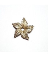 Leaf Gold Tone Star Fall Autumn Textured Brooch Pin EUC - $8.90