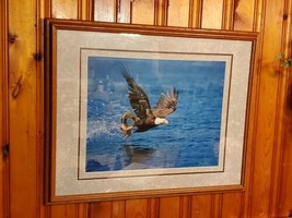 Millcreek Wildlife Reflections Eagle Photo Hand Signed Framed 19 3/4x16&quot; 24&quot;x30&quot; - £95.61 GBP