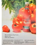 HUNTS TOMATO CATSUP - Pear Shaped Round Tomatos -1964 Vintage Print Ad - $9.66