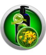 ARNICAmfort™ Масло Арники (Цветочный Экстракт) - $12.99+