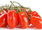 SAN MARZANO TOMATO SEEDS USA 30 Seeds - £5.59 GBP