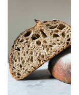 tangy san francisco sourdough starter yeast from the WHARF very old bonanza - £6.94 GBP