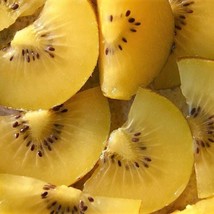 50 Golden Kiwi Fruit Yellow Actinidia Chinensis Kiwifruit Chinese Gooseberry Flo - £12.21 GBP