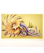1975 NAUTILOID Dinosaur Card Vintage Prehistoric Illustration Ephemera B78B - $363.77 MXN