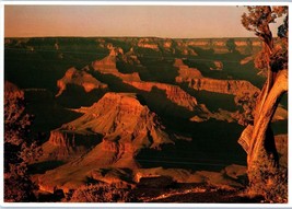 Grand Canyon National Park Arizona Fred Harvey Postcard w Japanese Translate - £8.77 GBP