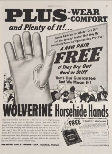 1951 Print Ad Wolverine Horsehide Hands Gloves Made in Rockford,Michigan - £16.33 GBP