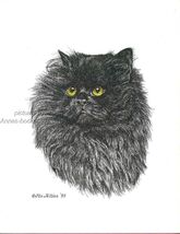 #325 LONG HAIR BLACK CAT *  cat art print  *  pen &amp; ink drawing by Jan J... - $12.50