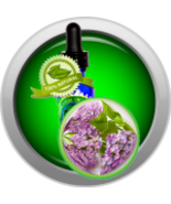 Lilac Absolute (Syringa Vulgaris) Essential Oil - $8.00+