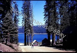 1969 Bucks Lake Haskins Valley Resort CA Trees Shoreline Kodachrome 35mm... - £2.71 GBP