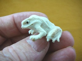 (FROG-9) little Frog shed ANTLER figurine Bali detailed carving amphibia... - £31.26 GBP