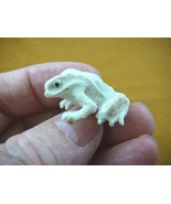 (FROG-9) little Frog shed ANTLER figurine Bali detailed carving amphibia... - £30.71 GBP
