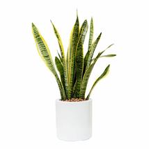 Catleza Smart Self-Watering Planter Pot for Indoor and Outdoor 7.8&quot; White Round  - £21.74 GBP