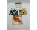 Lot Of (3) 1975 Rencontre Worms Education Cards - $24.74