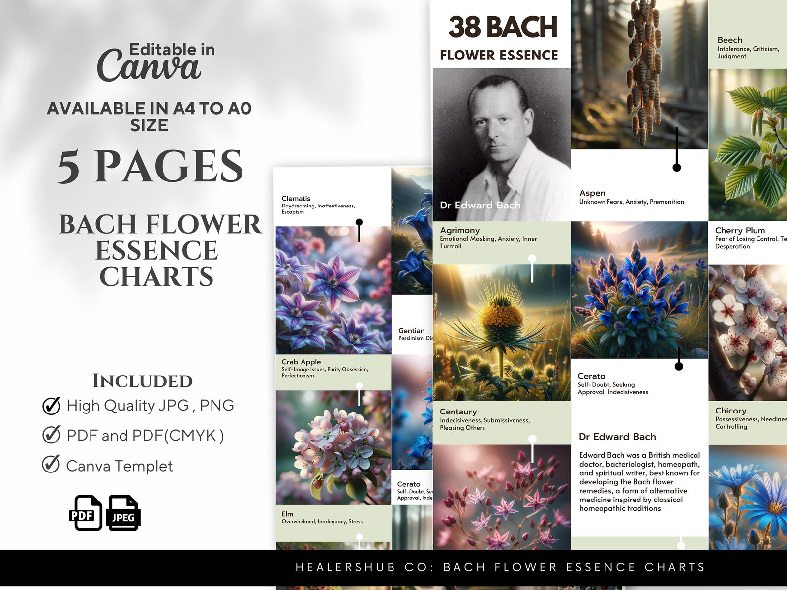 Bach Flower Essence Charts With Images Digital Download, Healing