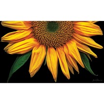 Toland Home Garden 800037 Sunflowers On Black Fall Door Mat 18x30 Inch Spring Su - £28.68 GBP