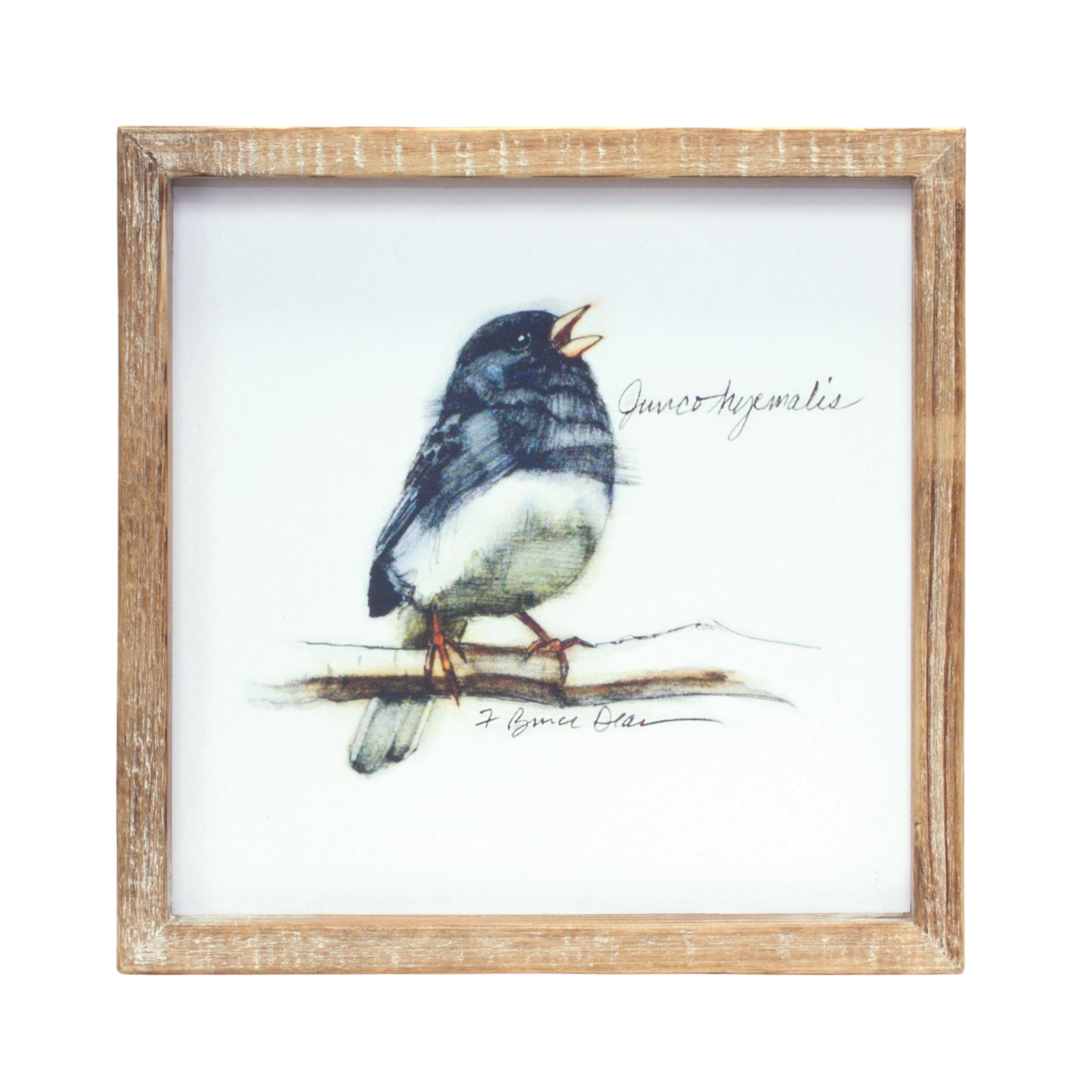 Wood Framed Bird Art Print (Set of 4) Item image 6