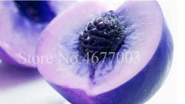 2Pcs Sweet Peach Seed China Nectarine Peach Seed Garden Beautiful - $6.22