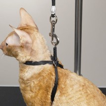 Pet Cat Small Dog Adjustable Nylon Harness Restraint Loop*For Grooming Table Arm - £6.27 GBP