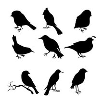 9 Sweet Birds Wall Decal Set - Sizes shown on example image - Available ... - $16.00