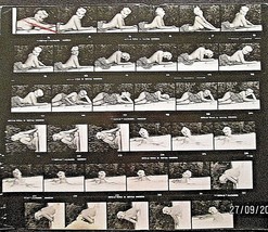 Russ Meyer:Director (Rare Vintage Sexy Contact Sheet Photo) Super Rare - £232.19 GBP