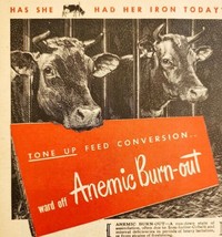 1947 Kow Care Cow Animal Health Advertisement Agriculture Farming DWNN20 - $19.99