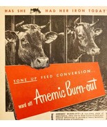 1947 Kow Care Cow Animal Health Advertisement Agriculture Farming DWNN20 - €17,14 EUR