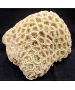 Sacred Adwaitya Kurma Giri Govardhan Radha Krishna Dwarka Shilla - €382,86 EUR Sacred Adwaitya Kurma Giri Govardhan Radha Krishna Dwarka Shilla - €382,86 EUR