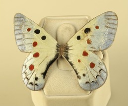 Vintage Sterling Silver Colorful Enamel Apollo Butterfly Winged Designed Pendant - £67.47 GBP