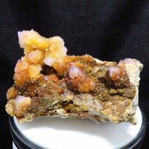 Large Citrine Ametrine Amethyst Spirit Quartz Cactus Crystal TR982 - $148.33