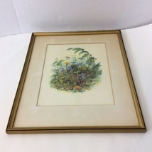 Floral Blue Mayflower Botanical Framed Matted Signed Artwork 15.25&quot; x 12.75&quot;   - £44.00 GBP