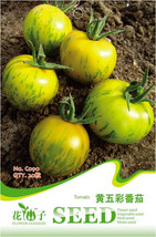 Rare Heirloom Yellow Tomato with Green Stripe Organic Seeds, Original Pack, 20 S - £2.79 GBP