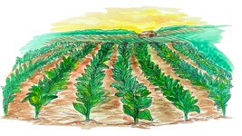 Item image 1 image 1