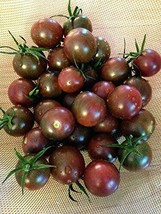 100 Black Cherry Tomato Seeds Heirloom Fresh Harvest For 2024 GardensFrom US  - $8.35