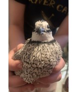 12 Snowflake Bobwhite Quail Eggs - $41.00 CAD