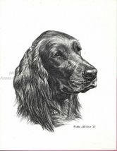 #292 IRISH SETTER portrait dog art print * Pen &amp; ink drawing by Jan Jellins - $12.50