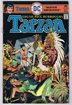Tarzan #242 ORIGINAL Vintage 1975 DC Comics  - £7.82 GBP