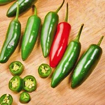 Fresh New Serrano Hot Pepper Vegetable Seeds USA Seller - $15.02