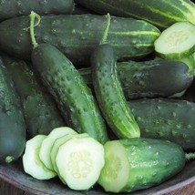 CUCUMBER BOSTON PICKLING, 25 SEEDS R - $267.26 MXN