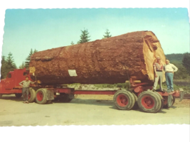 1950&#39;s Oregon and Washington Loggers~ Tractor Trailer, one Giant Fir Log. PC~1 - £5.66 GBP