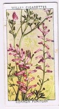 Wills Cigarette Card Wild Flowers #5 Common Fumitory - £0.78 GBP