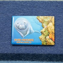 River Ventures Crystal River Florida Magnet Souvineer Fun Sea Lion Seal - £4.58 GBP