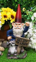 Ebros Grumpy Mr Gnome Dwarf With Feisty Raccoon Raising Fists Not Welcom... - $75.99