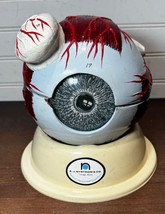 Vintage A.J. Nystom anatomical Eye Model with stand teaching optometrist - $100.00