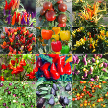 Ornamental Chili Pepper Seeds in Assorted Colors_Tera store - £4.71 GBP